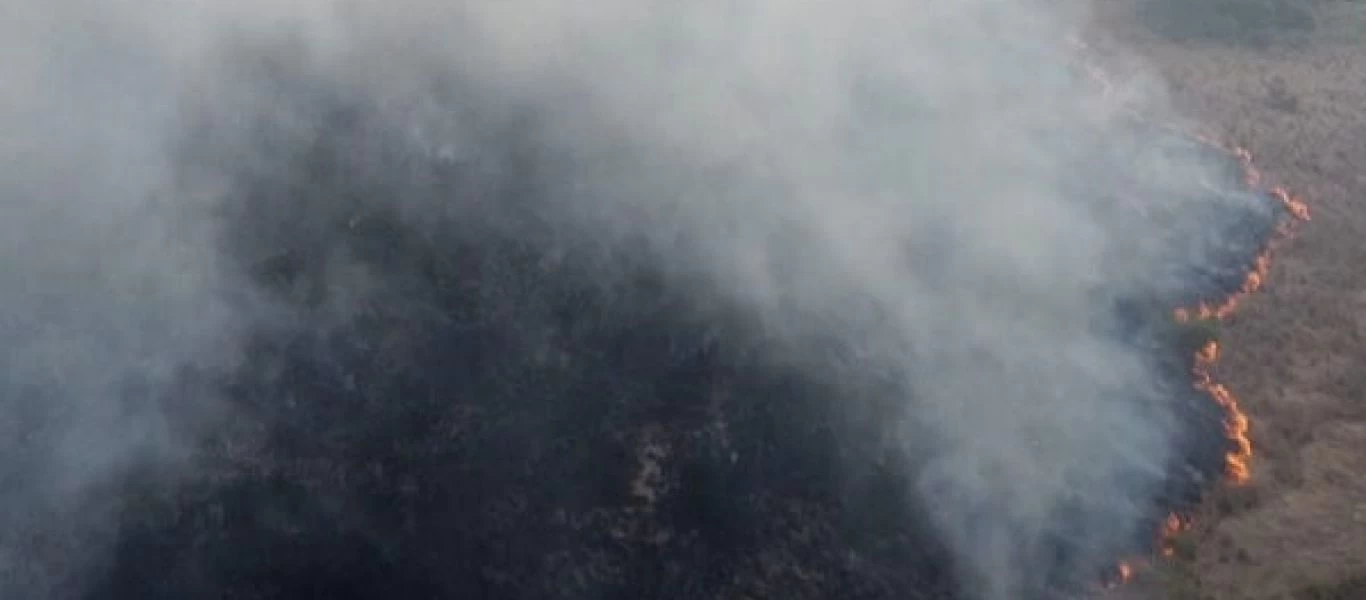 Αργεντινή: Πάνω από 5 εκατομμύρια στρέμματα έχει κάψει η πυρκαγιά στην Κοριέντες (βίντεο)
